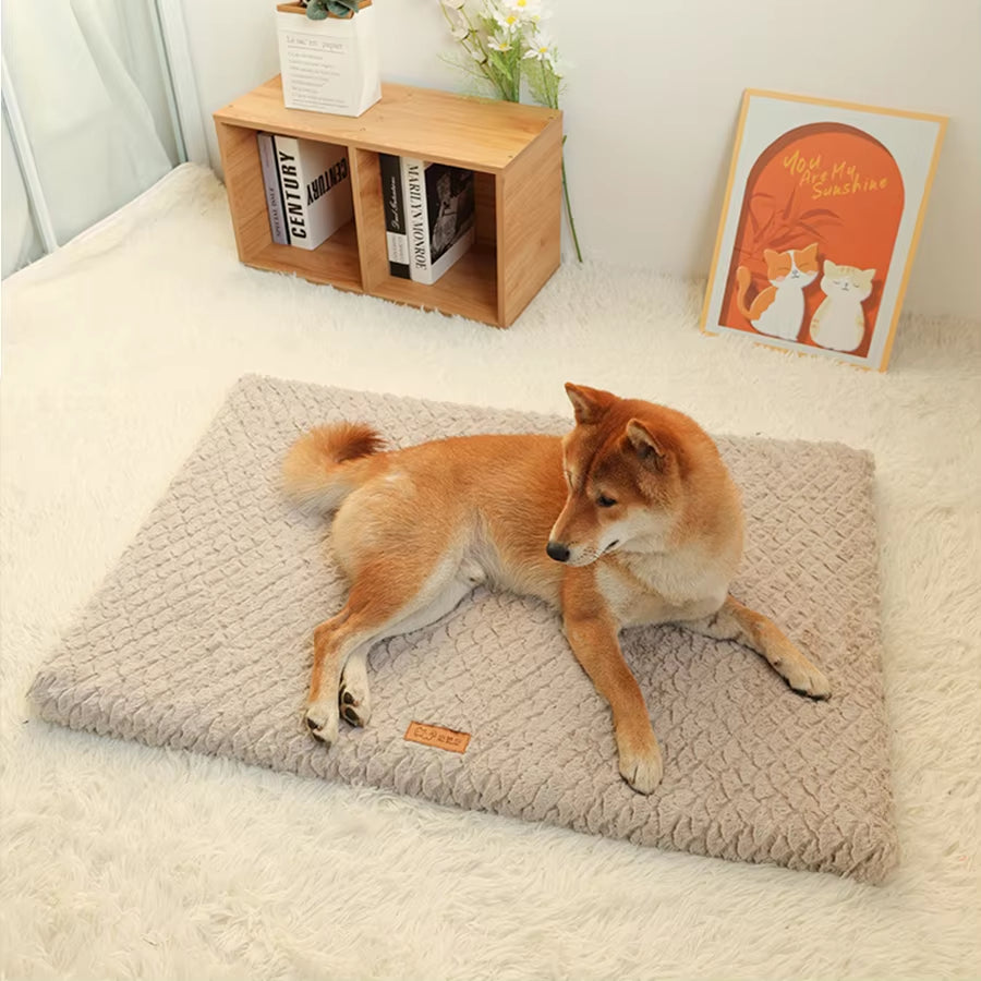 Short Plush Removable Washable Pet Bed, High Elasticity Non-Collapse Dog Bed, Suitable for Small and Medium Dogs and Cats