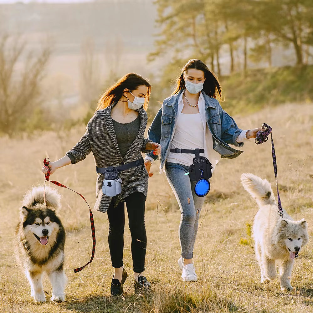 Pet Dog Treats Bag Portable Outdoor Dog Food Pouch for Training Feeding Bag Large Capacity Pet Trainer Waist Bag for Dog